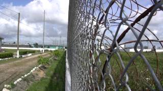 The Belize Central Prison amp the Kolbe Foundation [upl. by Nnylesor]