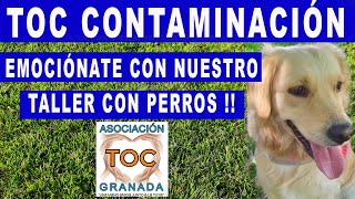 TOC CONTAMINACIÓN EMOCIÓNATE con nuestro TALLER con PERROS en Canal Sur TV Asociación TOC Granada [upl. by Lyj]