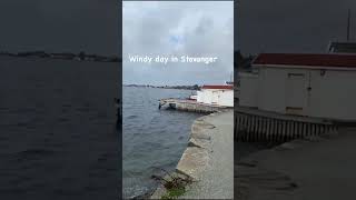 Windy day in Stavanger wind norway stavanger beautifulfjord [upl. by Adnuhsar]