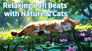 Lofi Beats to Relax amp Unwind  Cozy Cat by the Pond [upl. by Ees]