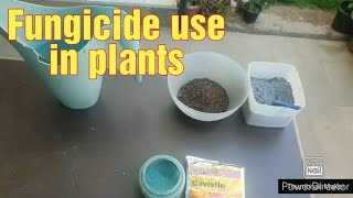 Fungicide use in plants How and when to use [upl. by Katrinka]