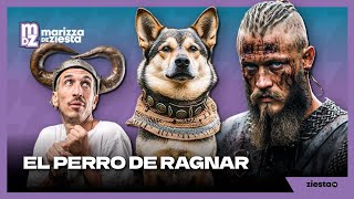 El perro de Ragnar [upl. by Nalor614]