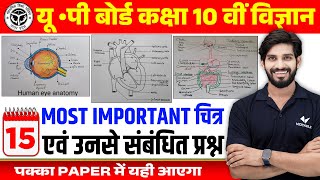 Class 10 Science Most Important Diagrams amp Question  UP Board 10th Complete Science Imp Diagram [upl. by Cox]