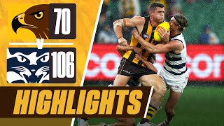 Hawthorn v Geelong  Match Highlights  Round 3 2024 [upl. by Picardi]