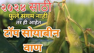 2024 साठी सर्वोत्तम सोयाबीन वाण  Top Soybean Variety 2024  सोयाबीन टॉप व्हरायटी  Agro Empire [upl. by Leirraj]