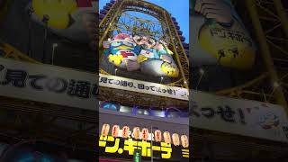 Dotonbori Osaka’s WILDEST Attraction [upl. by Gnoc]