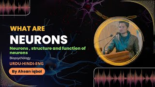 What are neurons  structure and functions of Neuron  Ahsan Iqbal psychology [upl. by Fadiman]