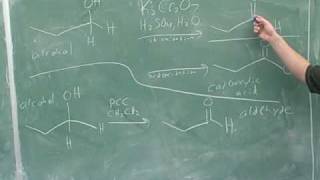 Alcohols oxidation and reduction 3 [upl. by Anibla114]