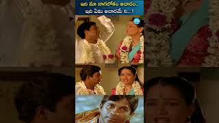 brahmanandam telugumovieclips jayalalita idreamhdmovies [upl. by Desberg41]