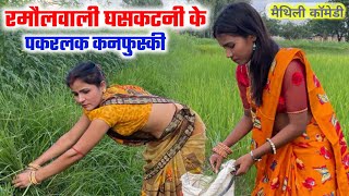 रमौलवाली घसकटनी के पकरलक कनफुस्की   maithili comedy  ramol wali damodar  ghar duaar [upl. by Aitselec776]