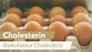 Das sind die besten Cholesterinsenker [upl. by Redep]