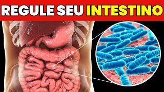 5 Alimentos Fermentados Poderosos para CURAR Seu Intestino [upl. by Rosy]