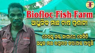 Biofloc fish FarmingIs Biofloc a successful businessBiofloc fish farming Odisha [upl. by Phionna]