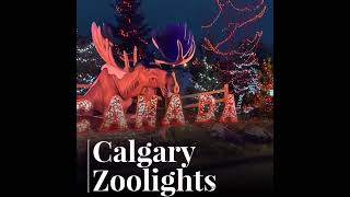 Calgary Zoolights [upl. by Eimak]