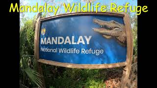 Mandalay National Wildlife Refuge [upl. by Kariv]