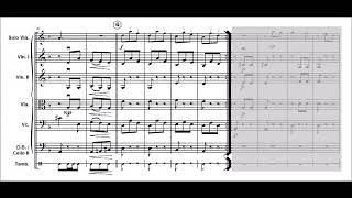 Suite from Carmen part 1 quotAragonaisequot G Bizet for easy string orchestra [upl. by Ahcas]