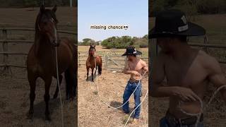 horse ghoda equestrian ghodi trending animals horserider horseracing [upl. by Bridge]