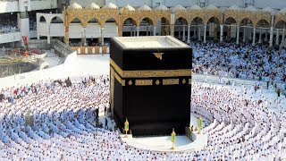 La Mecque la Kaaba et le hajj expliqués  ZAPPING NOMADE [upl. by Thissa371]