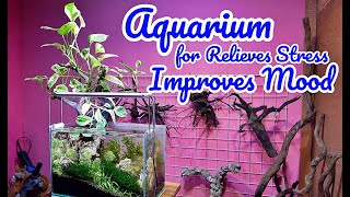 How To Setup Aquarium at Home [upl. by Madelyn]