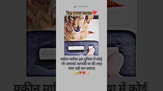 यकीन मानिए इस दुनिया में कोई भी आपको आपकी मां की तरह प्यार नहीं कर सकता viral shortvideo respect [upl. by Carol-Jean]