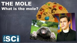 The Mole and Molar Mass What is the Mole [upl. by Aicenat372]