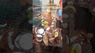 Lord shiva beeramgudasivalayamshortyt short [upl. by Alil]