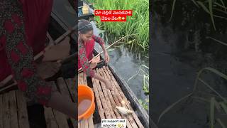 మా చెల్లితో మొదటిసారి చేపల వేటfishing fishingvideo fishinglifefishingvlogs ytshorts ytshorts [upl. by Morton116]