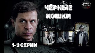 Чёрные Кошки 2013 Криминальный детектив 13 серии Full HD [upl. by Naut710]