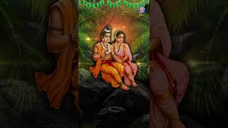 Sita Kalyanam  Seetha Kalyana Vaibhogame  Sita Navami Special Song  shorts song sitakalyanam [upl. by Ehsrop982]