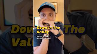 Easy Harmonica Song Tutorial Down In The Valley [upl. by Fayina]