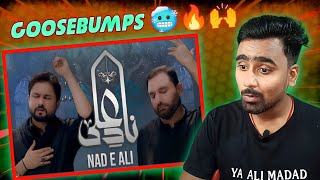 Indian Reacts To Nad e Ali  Syed Raza Abbas Zaidi  Shahid Baltistani  Indian Boy Reactions [upl. by Knah4]