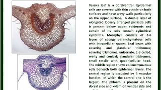 Vasaka leaf Microscopy  K S Laddha  ICT [upl. by Sasha]