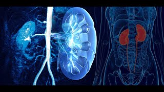 MEDICINE  Nephrology 2 [upl. by Fitting]