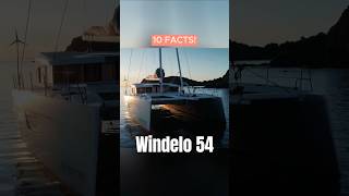 New Windelo 54 will be at the Cannes Yachting Festival [upl. by Tyoh]