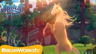 The Mysterious New Horseor Unicorn  SPIRIT RIDING FREE  Netflix [upl. by Regine]