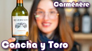 Carménère Concha y Toro Reservado  Bom igual ao Cabernet Sauvignon [upl. by Montagu76]