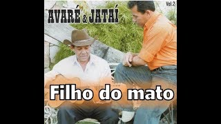 Filho do mato  Avaré e Jatai [upl. by Annaiel]