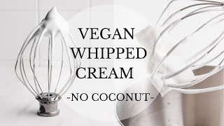 VEGAN WHIPPED CREAM NO COCONUT [upl. by Gnah]