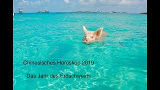 Chinesisches Horoskop 2019  Das Jahr des Erdschweins [upl. by Naamann591]