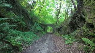 luxylian Valley walk to Pontsmill near St Blazey [upl. by Llenrag]