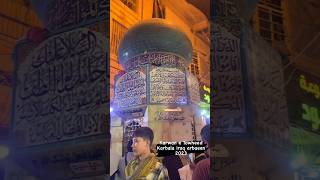 Part 1 • Maqqam e Bazu Maula Abbas as • Karbala • Tour Karwan e Tauheed trending shortvideo [upl. by Nivlen]