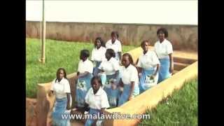 Chitsitsimutso Choir Mtima Wanu Usavutike Malawi Gospel Music [upl. by Kolosick826]