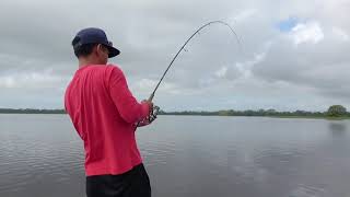 Sight casting tarpon with Gong Lei [upl. by Nnylear]