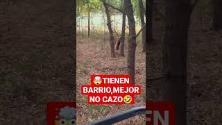 Funny Deer Videos Shorts 🤣VENADAS Boxeadoras 🦌🥊shorts viral [upl. by Nrojb]