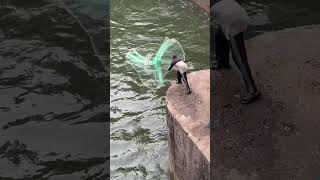 Catching Fish by Throwing a Net in the River [upl. by Aubrey]