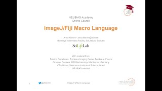 ImageJFiji Macro Language  NEUBIASAcademyHome Course [upl. by Iralam]