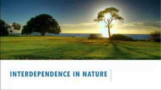 Interdependence in Nature  5th Standard Science CBSE [upl. by Garling]