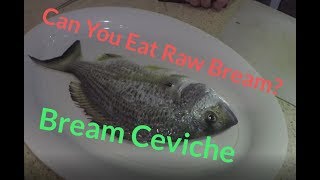 Eating Raw Bream Bream Ceviche Catch and Cook EP5  TFF [upl. by Gabriel763]