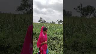 Baba ki mahar se maje 🙏 trendingshorts travel song funny funny love subscribe [upl. by Emyle]