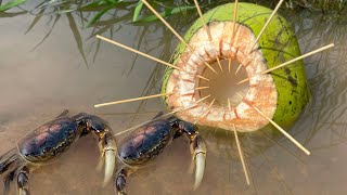 Survival Skills SIMPLE and USEFUL with Fruit Coconut bushcraft camping outdoors useful [upl. by Staw]